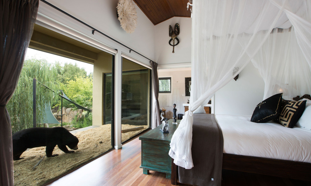 Jamala Wildlife Lodge