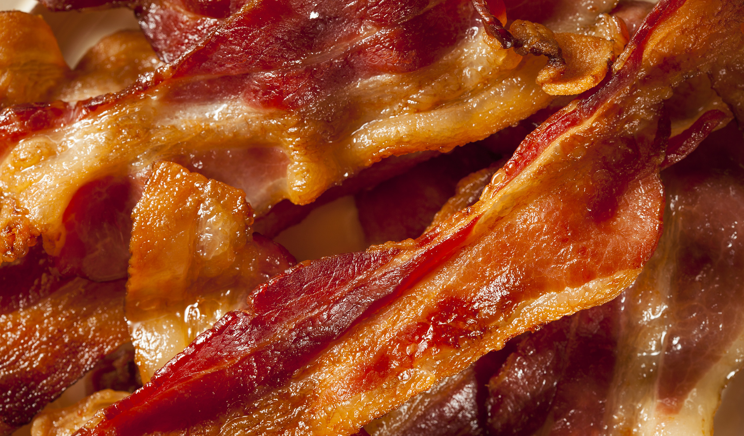 bacon-main