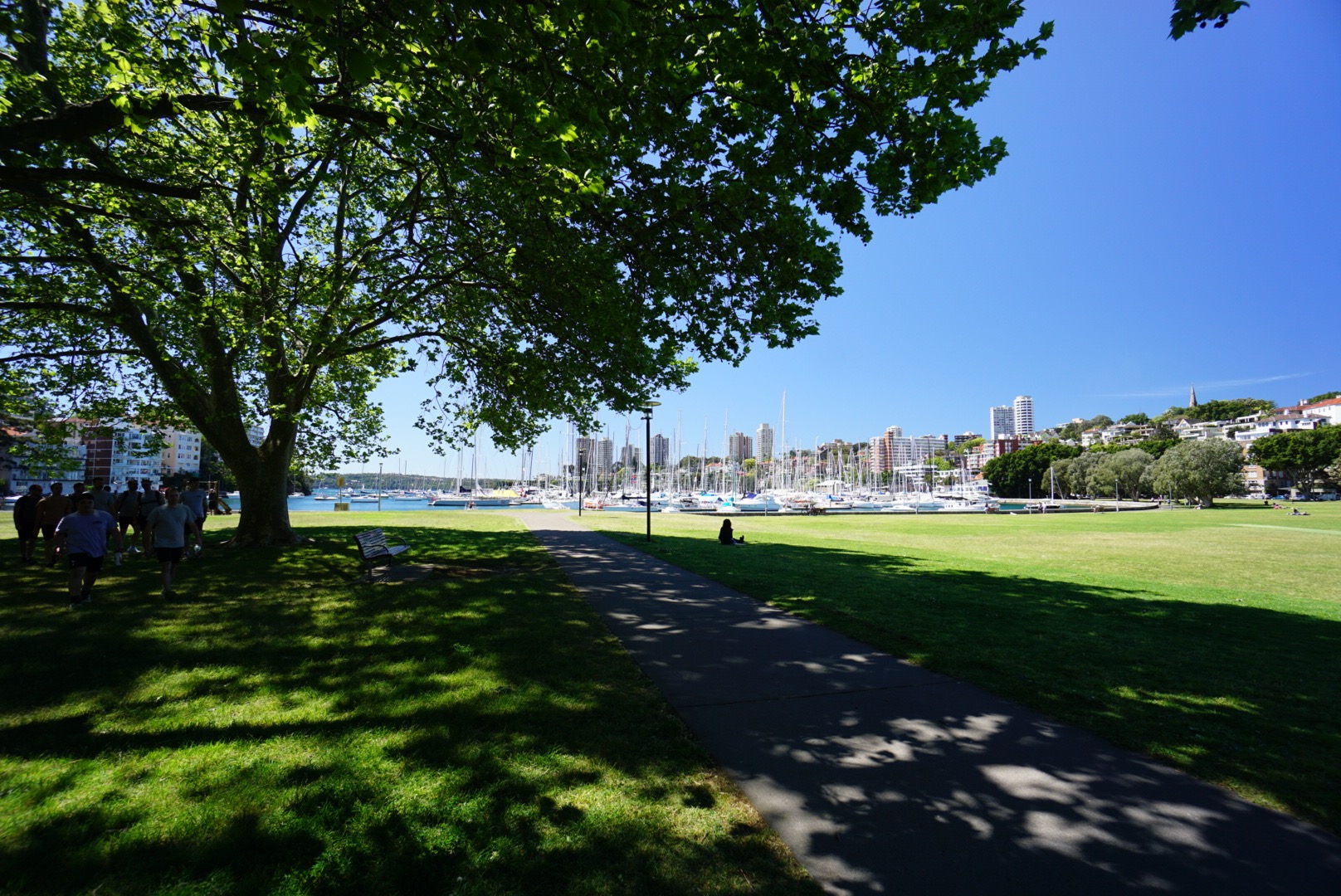 Rushcutters Bay Park