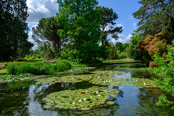 cambridge botanic garden