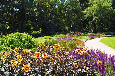 park and garden