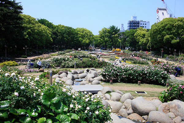 utsubo park