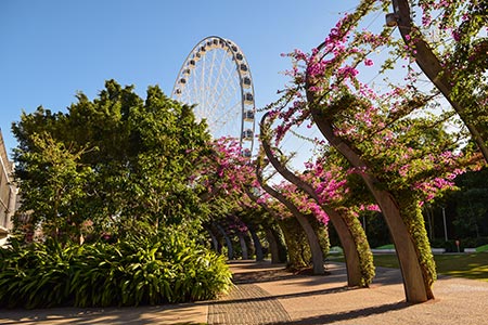 south bank parklands