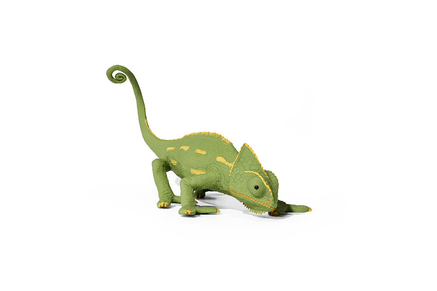 chameleon-900x600.png
